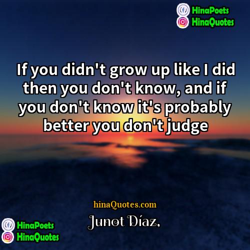 Junot Díaz Quotes | If you didn't grow up like I